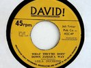 LEILA DUCHESNE 45 What They're Doin' Down Jamaica Way DAVID Rec '71 A+ Hear FUNK