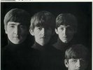 The Beatles - With The Beatles [LP] (MONO 180 Gram, all-analog remastered)2014