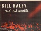 LP Bill Haley and his Comets Rock N Roll Stage Show NEAR MINT Charly Records