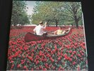 Elder Brother - Stay Inside LP Half Cream Half Red Vinyl 2018 Pure Noise PNE214
