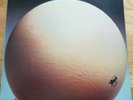 EGG Civil Surface Vinyl LP C1510 Caroline 1974 EX/EX