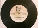 Black Stallion Lovers Rare 7inch