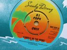 SANDY DENNY Candle In The Wind UK 7