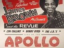 BROWN, James/VARIOUS - Get Down With James Brown: Live At The Apollo Vol IV