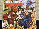 The Beach Boys - Wild Honey  Vinyl LP ALBUM Mono T 2859 Capitol Darlin’