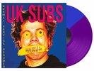 UK SUBS - NORMAL SERVICE RESUMED  2 VINYL LP NEW