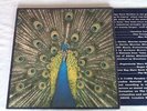 The Bluetones LP -  Expecting to Fly. EX+ Cond. Ltd Ed 1st Press A1/B BLUELP 004