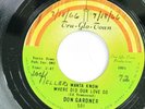 Don Gardner TRU-GLO-TOWN 1001 M- SOUL NORTHERN SOUL / DEEP SOUL 45