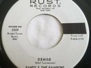 DOO WOP 45 by RANDY & THE RAINBOWS M- PROMO