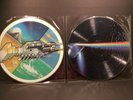 PINK FLOYD Picture Disc LPs x2  Omayyad/Brain Damage (Unofficial MIS-PRESS) APF