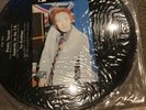 Sex Pistols Dave Goodman Demos Picture Disc Antler Records Netherland Antler 37