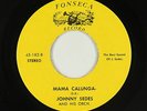 Latin Salsa 45 - Johnny Sedes - Mama Calunga - Fonseca - VG+ mp3