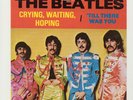 BEATLES GREEN VINYL 45 PROMO WITH PICTURE SLEEVE 