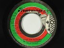 Roots Reggae 45 - Cornell Campbell - Keep On Pushing - Mandingo - mp3
