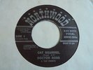 Doctor Ross - Cat Squirrel 1982 UK 45 NORTHWOOD