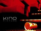 Kino : Picture VINYL 12