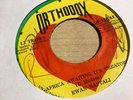 Ewan Naptali - African is Waiting It's Creators / Twelve Tribes Band Orthodox 7