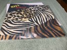 1984 Kiss Animalize Holland Issue, 12