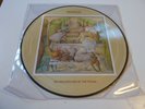 GENESIS - Selling England By The Pound - Very Rare LP Picture Disc 2013 MISPRESS