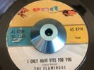 the flamingos I ONLY HAVE EYES FOR YOU/GOODNIGHT SWEETHEART doo wop END