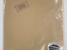 LED ZEPPELIN IN THROUGH THE OUT DOOR CLASSIC RECORDS 200G QUIEX Sealed New