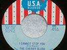 THE CHERRY SLUSH I Cannot Stop You 68' Garage Psych USA 45 Dick Wagner NEAR MINT