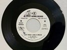 Randy Newman Last Night I Had a Dream DJ promo garage psych M- Reprise 0771