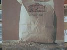 The Bluegrass Alliance Kentucky Blue (Sealed LP) with Vince Gill