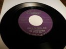 Louvin Brothers-