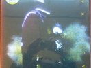 Ben Frost ?Aurora 2014 ambient experimental noise Yellow vinyl poster d/l SEALED
