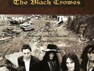 The Black Crowes - Southern Harmony and Musical Companion