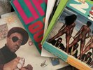 Vinyl Record Lot (10) Ice-t Sir Mix A Lot 2 Live Crew Slick Rick Too Short