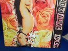 Dead Or Alive - Nude(2016)Clear Vinyl LP Pete Burns  MINT /NEWvNot  Sealed