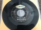 Beach Boys Surfin’ Original Candix 301 Usa Only 45 1st Release