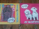 2 LPS SLAVES Take Control SIGNED & Are You Satisfied? vinyl idles frank carter