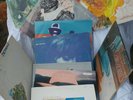 Joni Mitchell Lot  Hissing, Ladies of the Canyon,  For the Roses... and more
