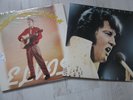 2 LP  ELVIS PRESLEY    ROCK 'N' ROLL ALBUM     JAPAN    Mint.