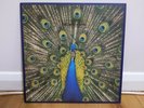The Bluetones - Expecting to Fly - original vinyl (Superior Quality, 1996)