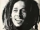 Bob Marley & The Wailers Kaya LP Album Vinyl Schallplatte 182264