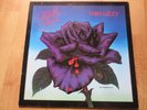 vinyl LP Thin Lizzy Black Rose  Vertigo  6360169 1st press Germany 1979