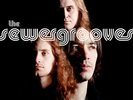 THE SEWERGROOVES Songs From The Sewer LP Estrus Garage Rock Hellacopters NEW