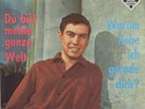 Bert Berger - Du bist meine ganze Welt- nur Cover