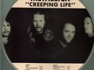 Metallica  - Creeping life