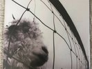 Pearl Jam - Vs. (Vinyl Used Very Good)