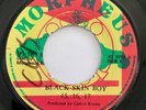 15, 16, 17 Black Skin Boy MORPHEUS 45 Reggae Lovers Rock HEAR