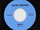 Garage Punk 45 - Electric Sensation - Mary - NM mp3 - rare