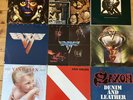 David Lee Roth, Van Halen, Saxon