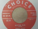 SANDY SCOTT - SHAKE IT UP  / MISTER BIG - RARE 7