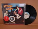 Stray Cats 