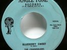 CHANDELIERS 45 One More Step / Blueberry Sweet ANGLE TONE VG++ doowop Kz146